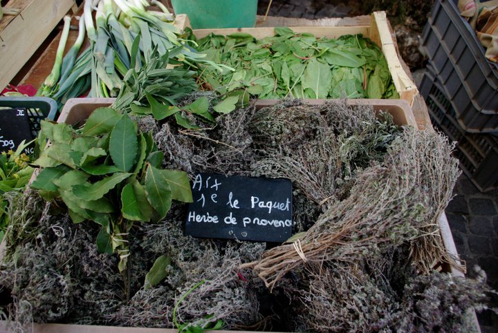 savory Herbes_de_Provence
