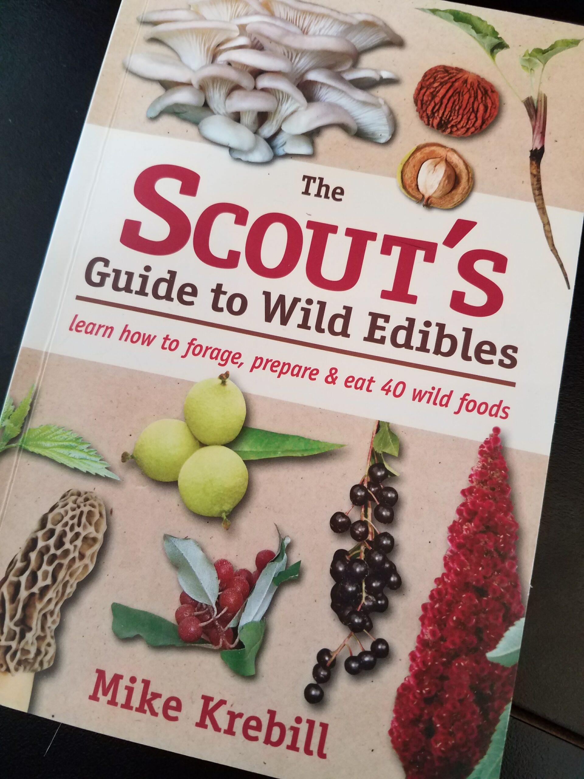Scouts-guide-to-wild-edible