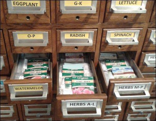seed catalog