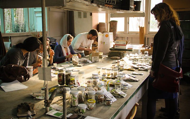 People sort seeds at a seed library