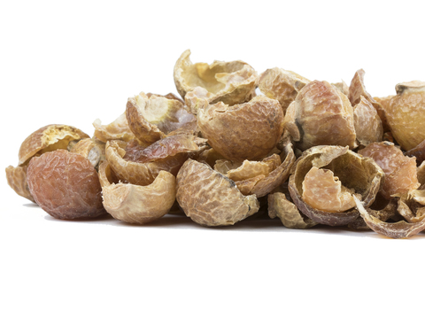 soap nuts