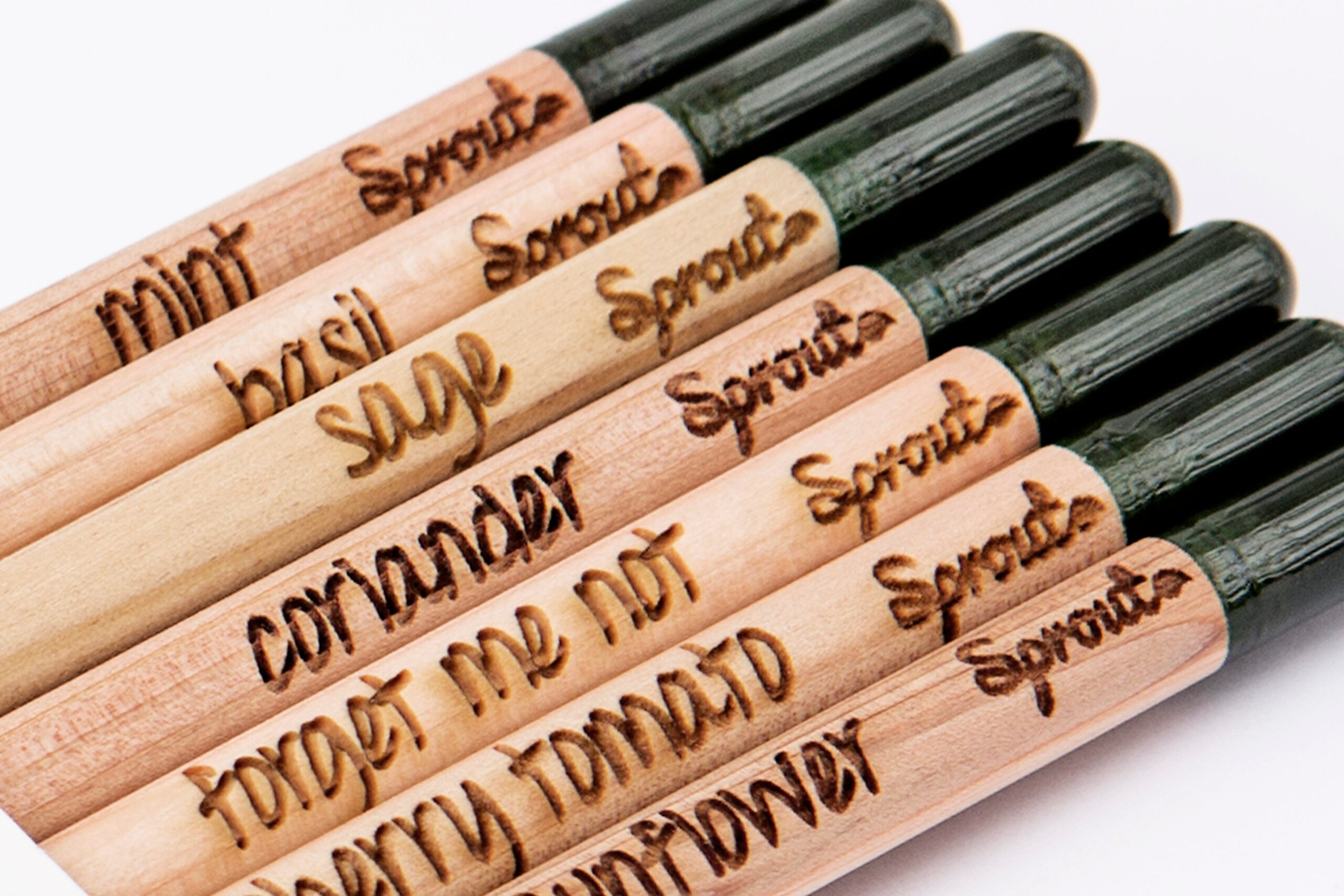 Sprout pencil