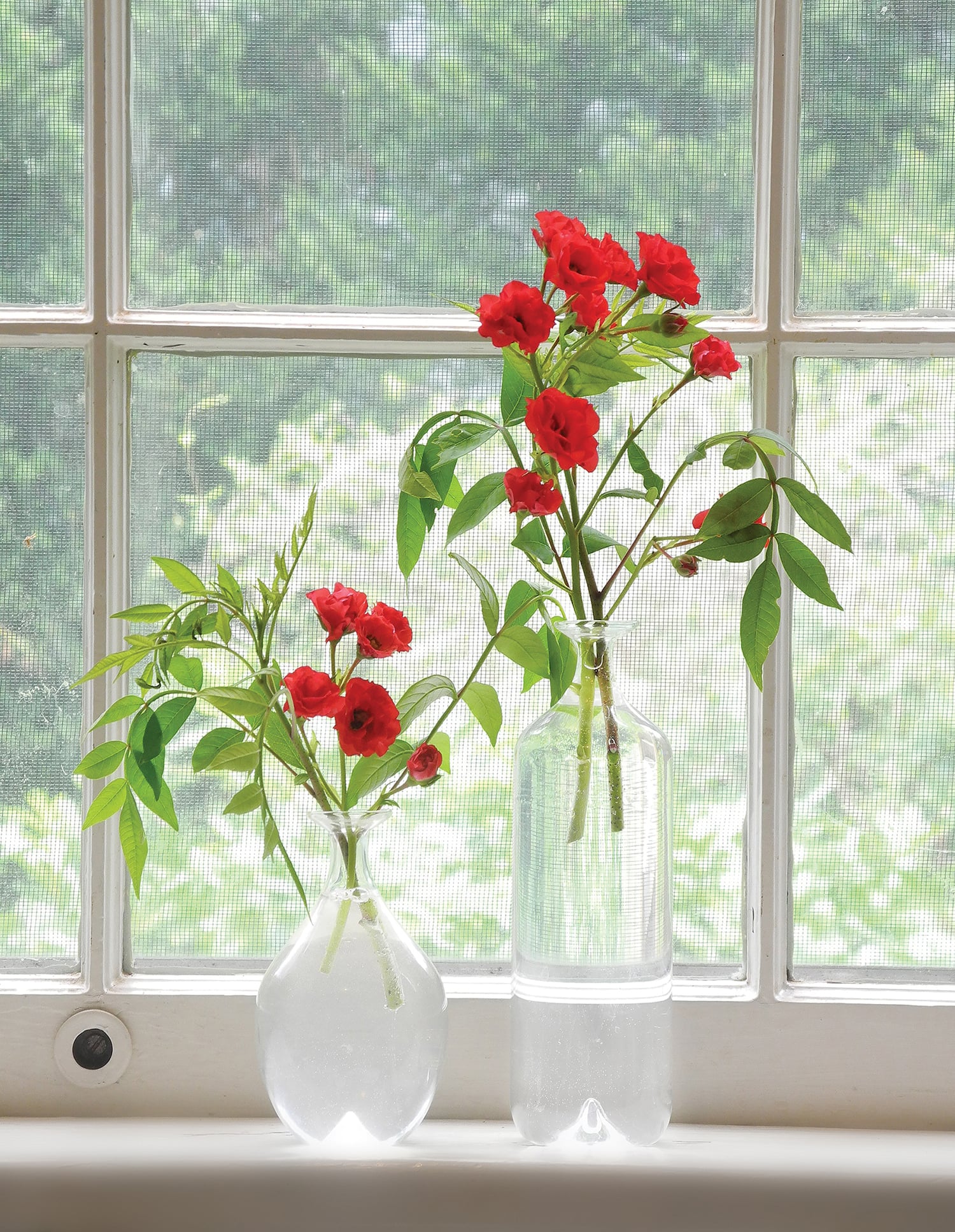 ST LYNN'S PRESS - Windowsill Art July 1