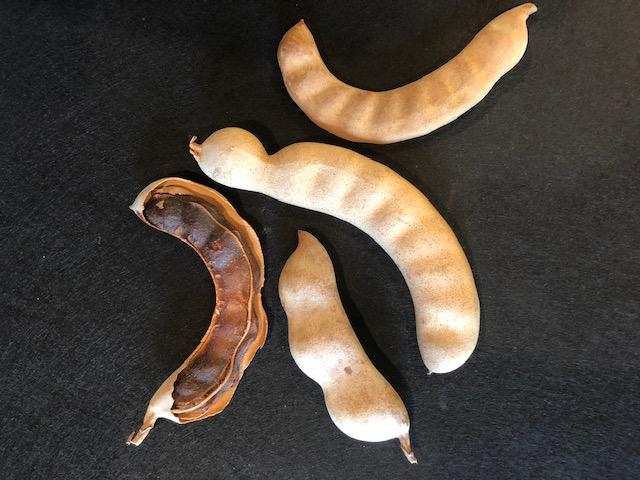 tamarind seed pods