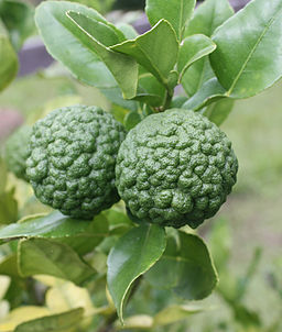 thai lime fruit