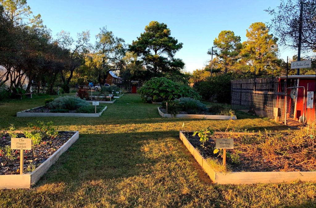 URBANherbal garden
