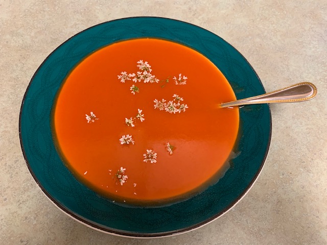 Tomato soup with cilantro