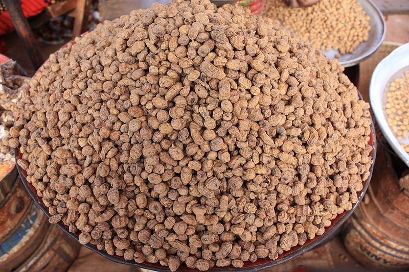 Plate full of medium sized wrinkled brown nutsedge tubers