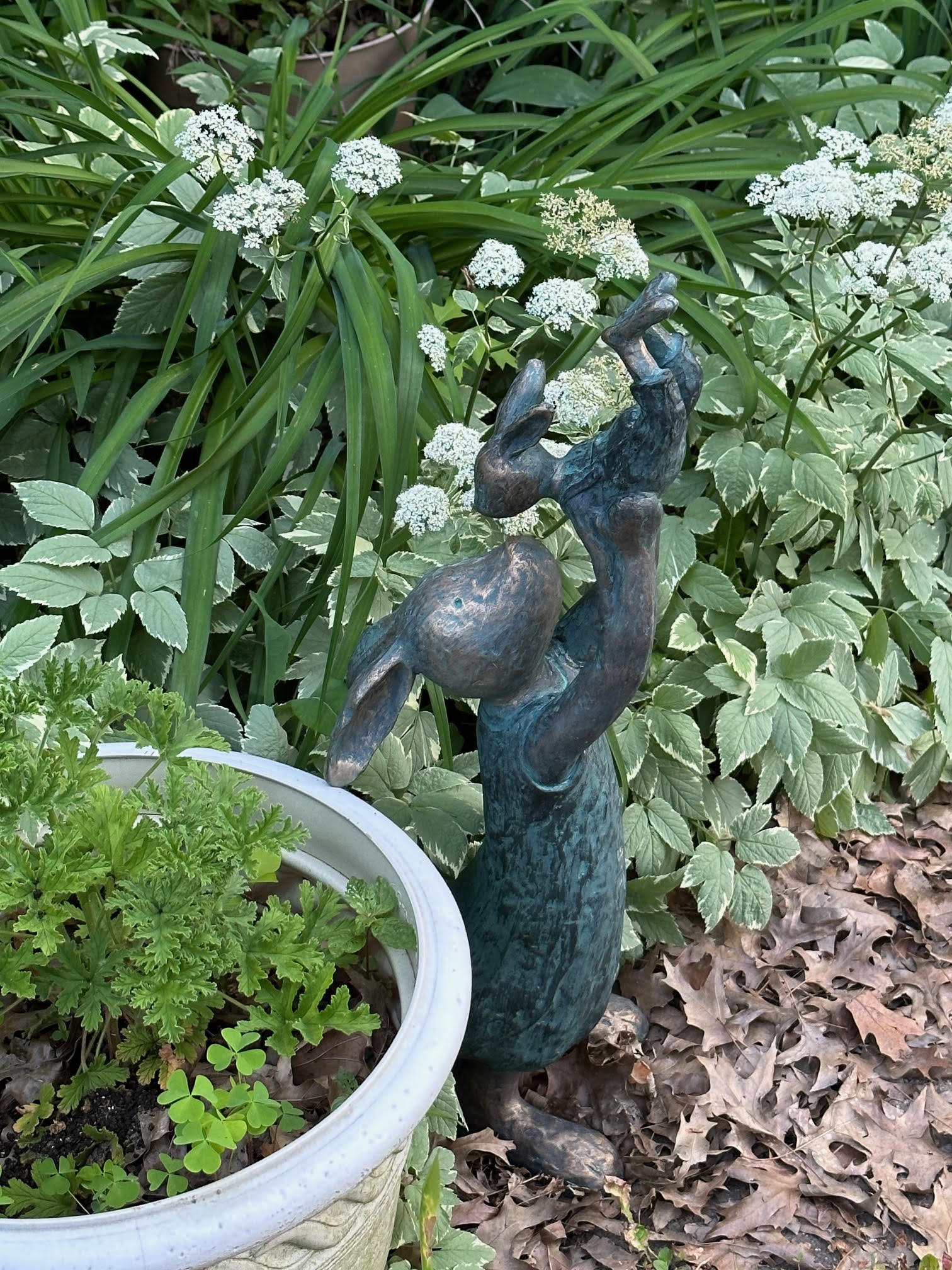 Herb garden