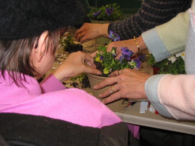 A person potting up plants as part of horticultural therapy