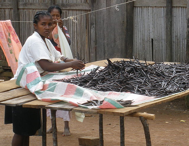 Woman sorting vanilla pods in Madagascar