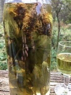 Large glass jar full of vodka and herbs