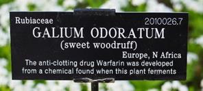 Webb plant label