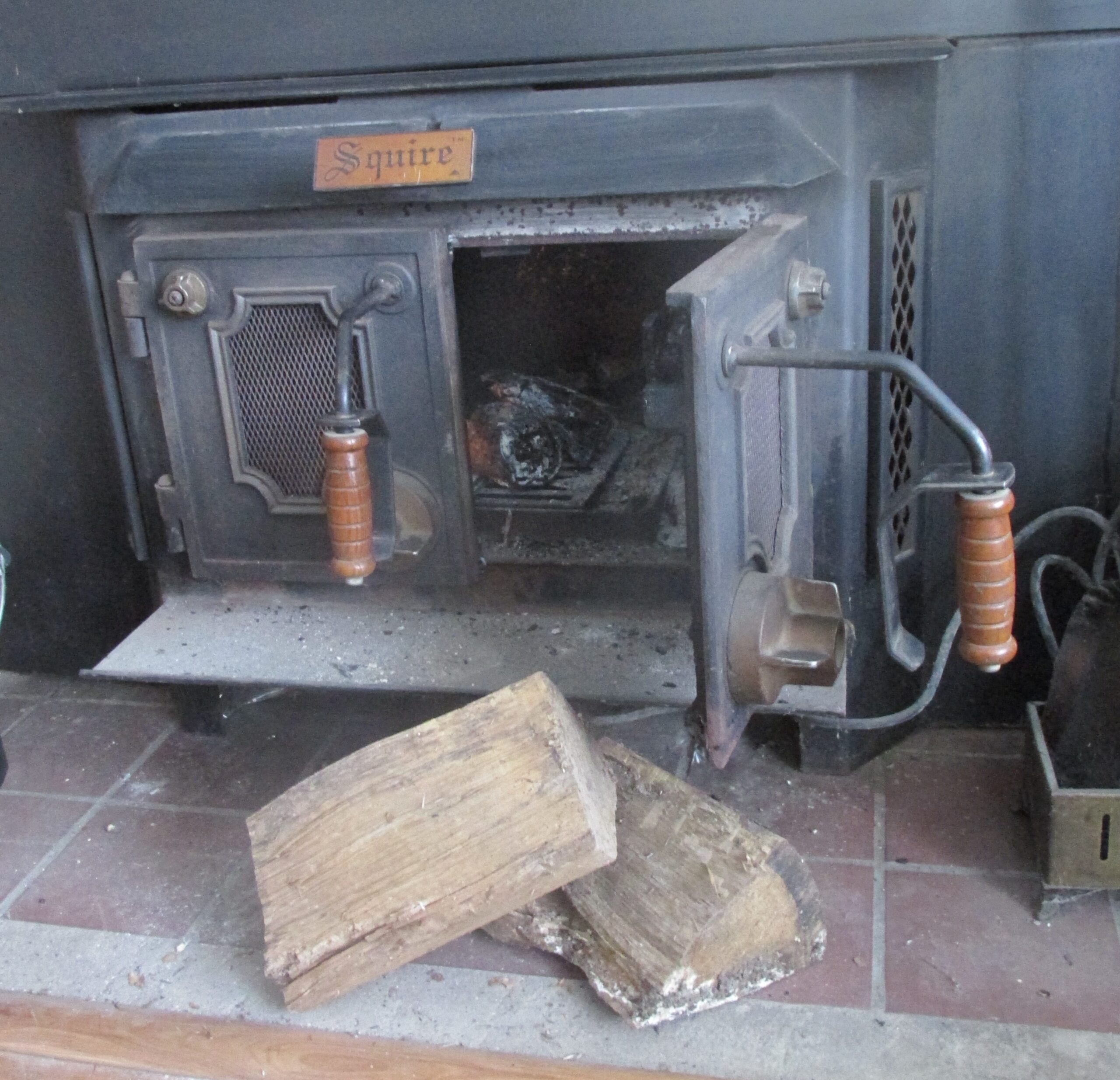 Wood stove with logs